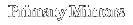 Primary Mirrors